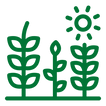noun-crops-4497187-007435.png