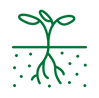noun-plant-roots-754977-007435.png