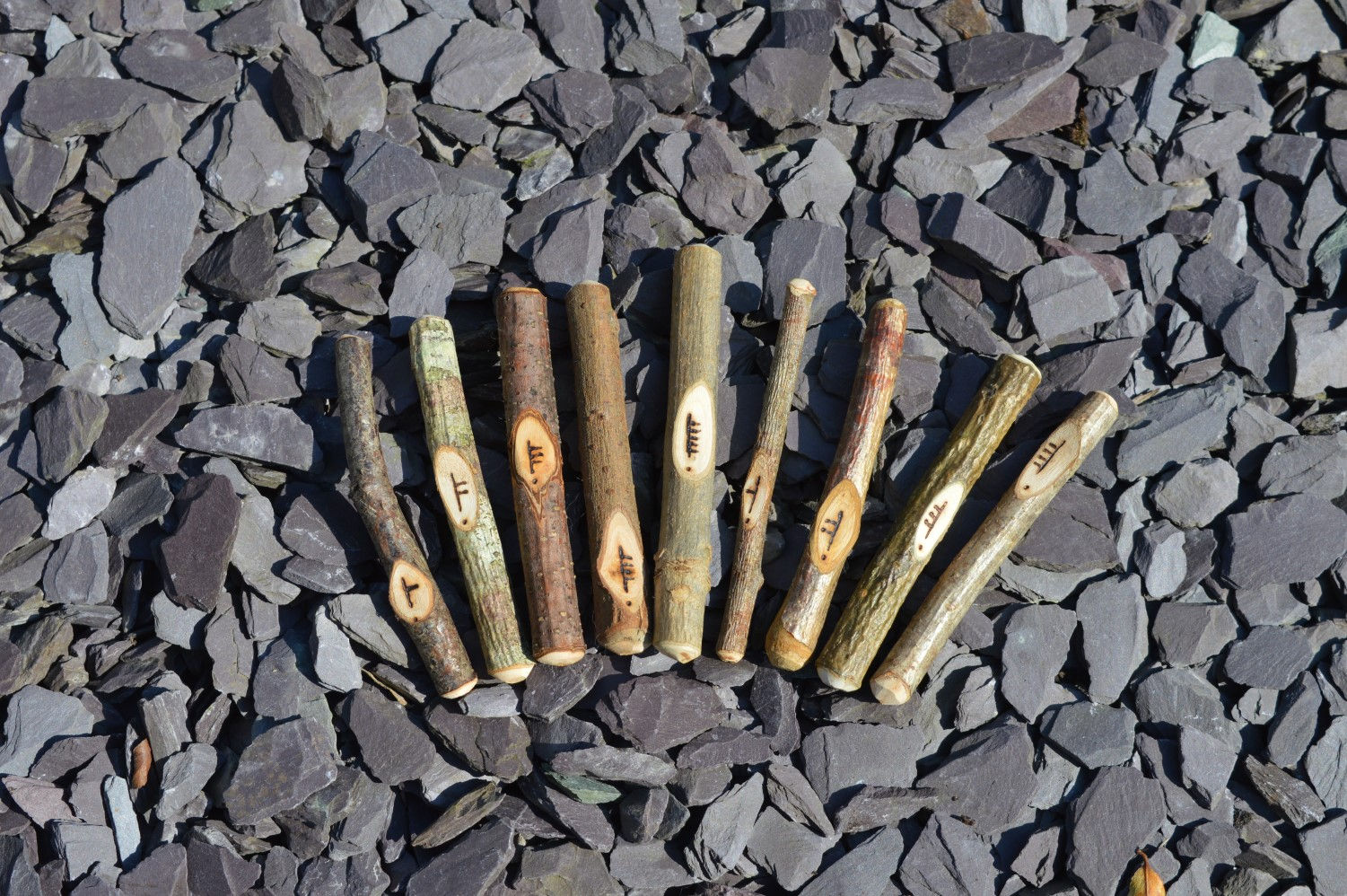 Celtic Sacred Wood Ogham Staves set of 9 for Bale Fire, Bael Fire, Pagan rituals