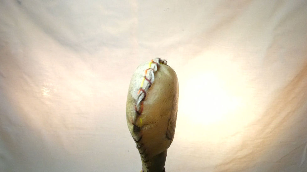 Thumbnail: Shamanic Rattle with Fox, Copal and Quartz and Chestnut wood handle