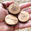 Thumbnail: Witches Runes crafted from English Hawthorn Wood