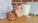 Understanding the Difference Between Personal Care Services and Home Health