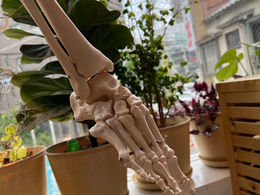 足の歪みを正すと！？