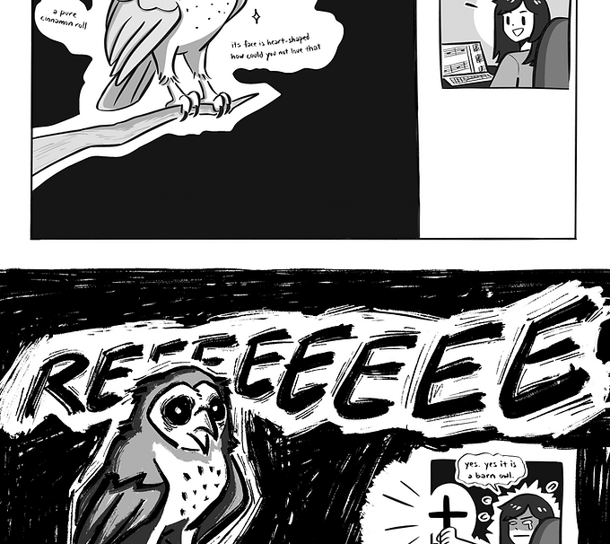 barn_owl.png