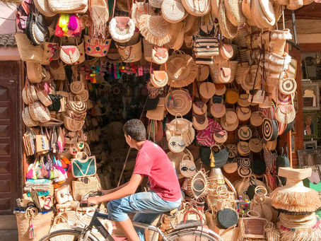 ECO FRIENDLY TRAVEL