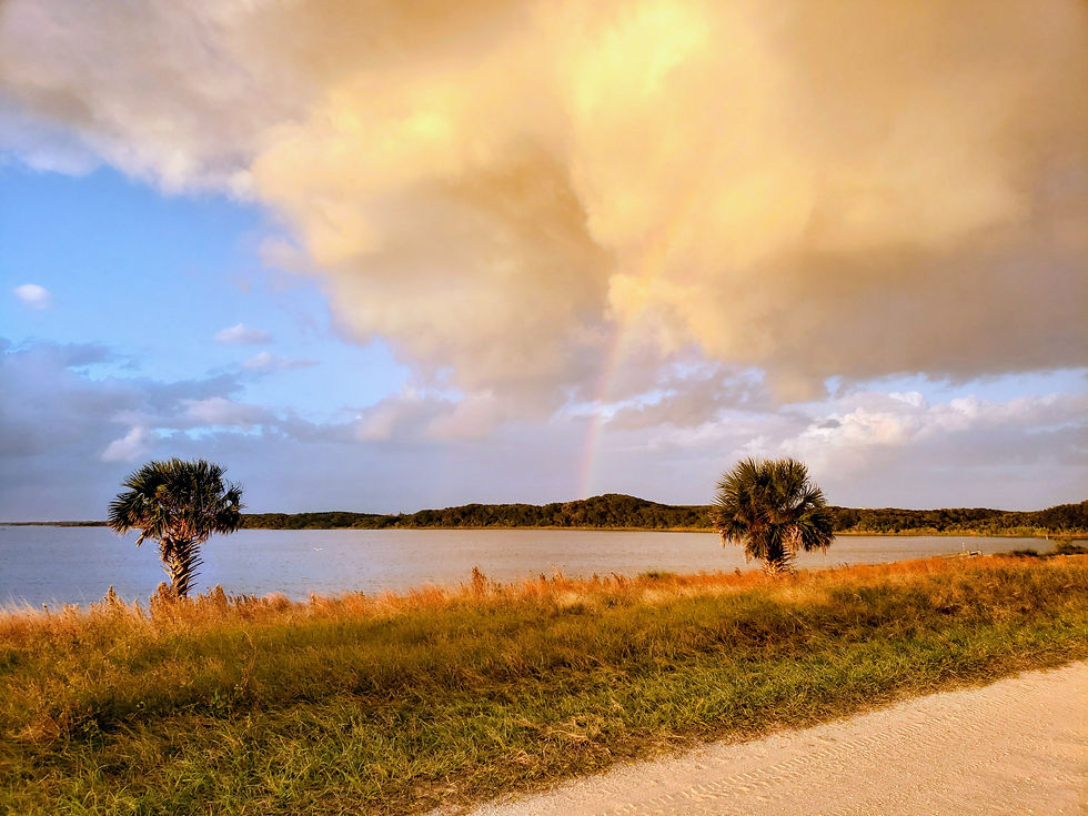 real florida.jpg