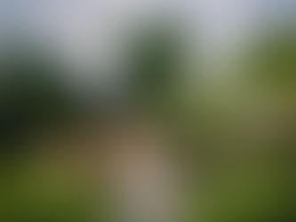 The Pursuit of Purpose: Unleashing Happiness through Goal Pursuit