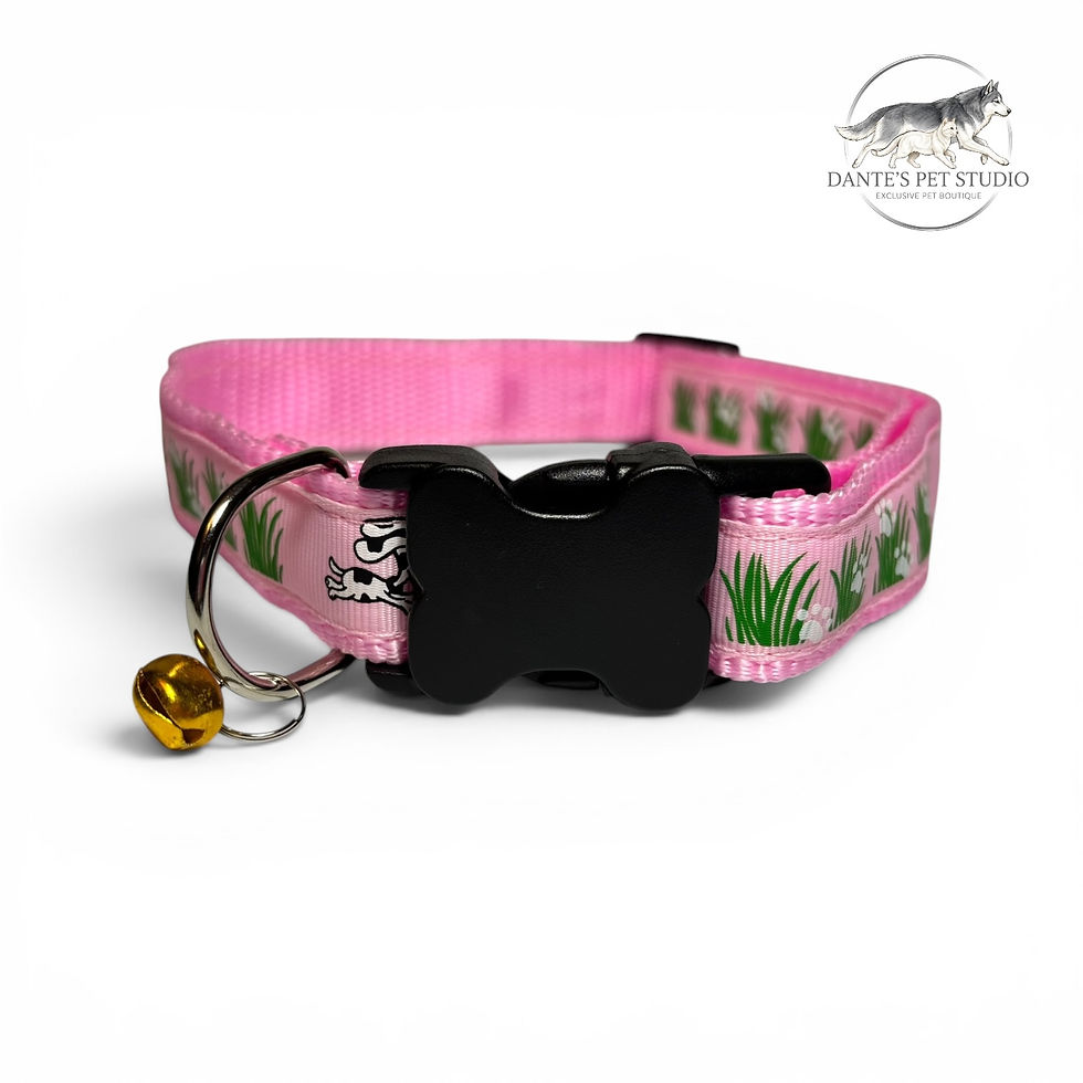Miniatura: Collar de diseño ajustable