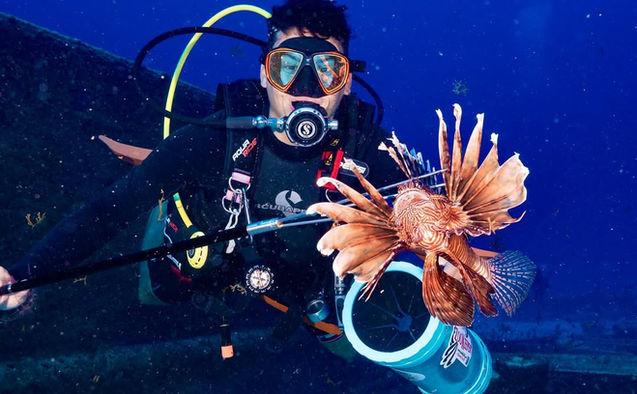 Lionfish hunting wrecks
