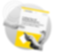 Crafting Clear and Professional Responses_ A Guide for Executive Assistants in Elected Of