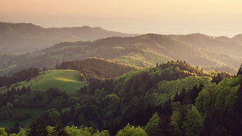 BlackForest-Germany-GettyImages.png
