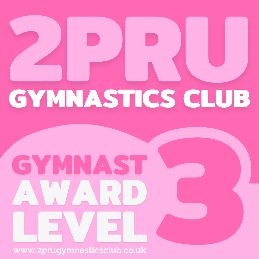 Award 3 Gymnastics - Year 4