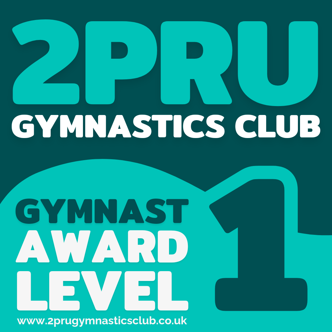 Award 1 Gymnastics - Year 6