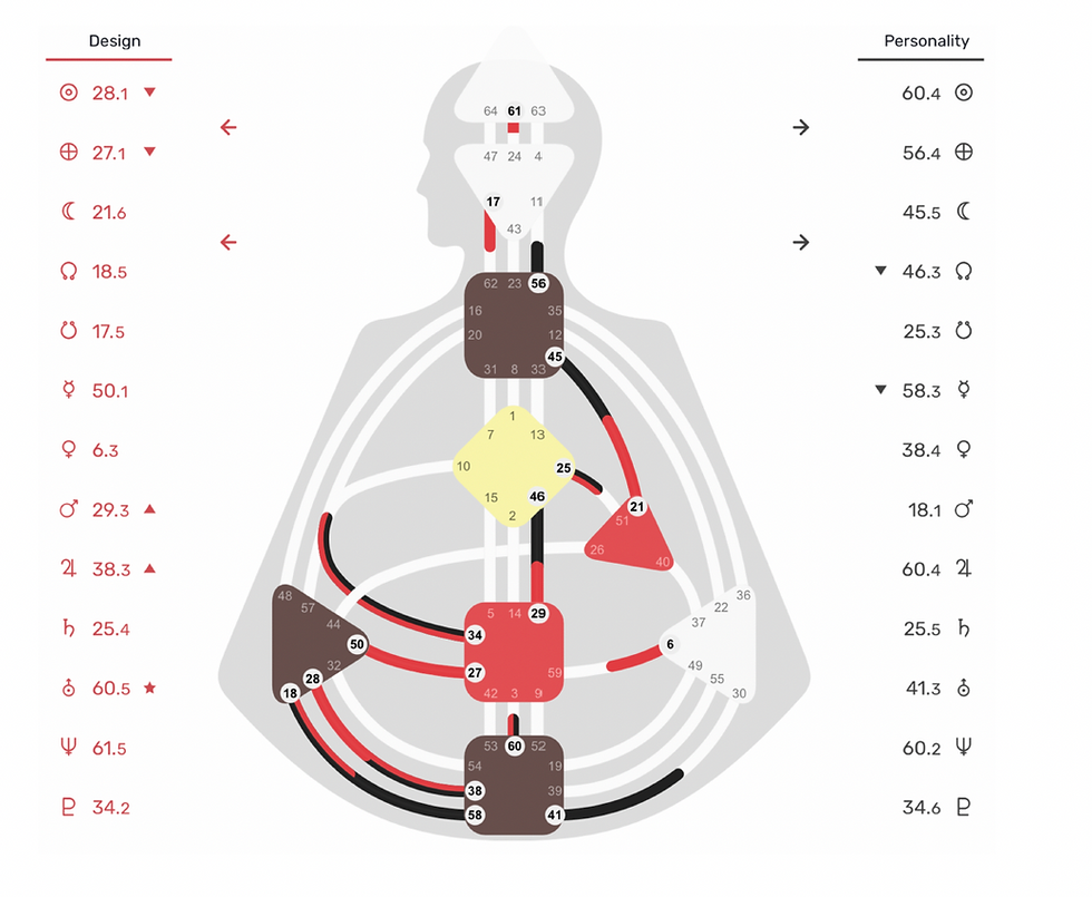 Human Design Chart lesbar für Alltag und Business Grafische Darstellung