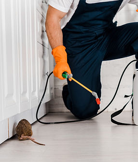 prefferes-pest-solutions1 (2).jpg