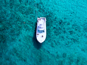 Icacos vs. Palomino: What to Expect from a Fajardo Keys Snorkeling Trip