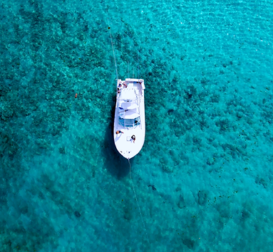 DJI_0019.png