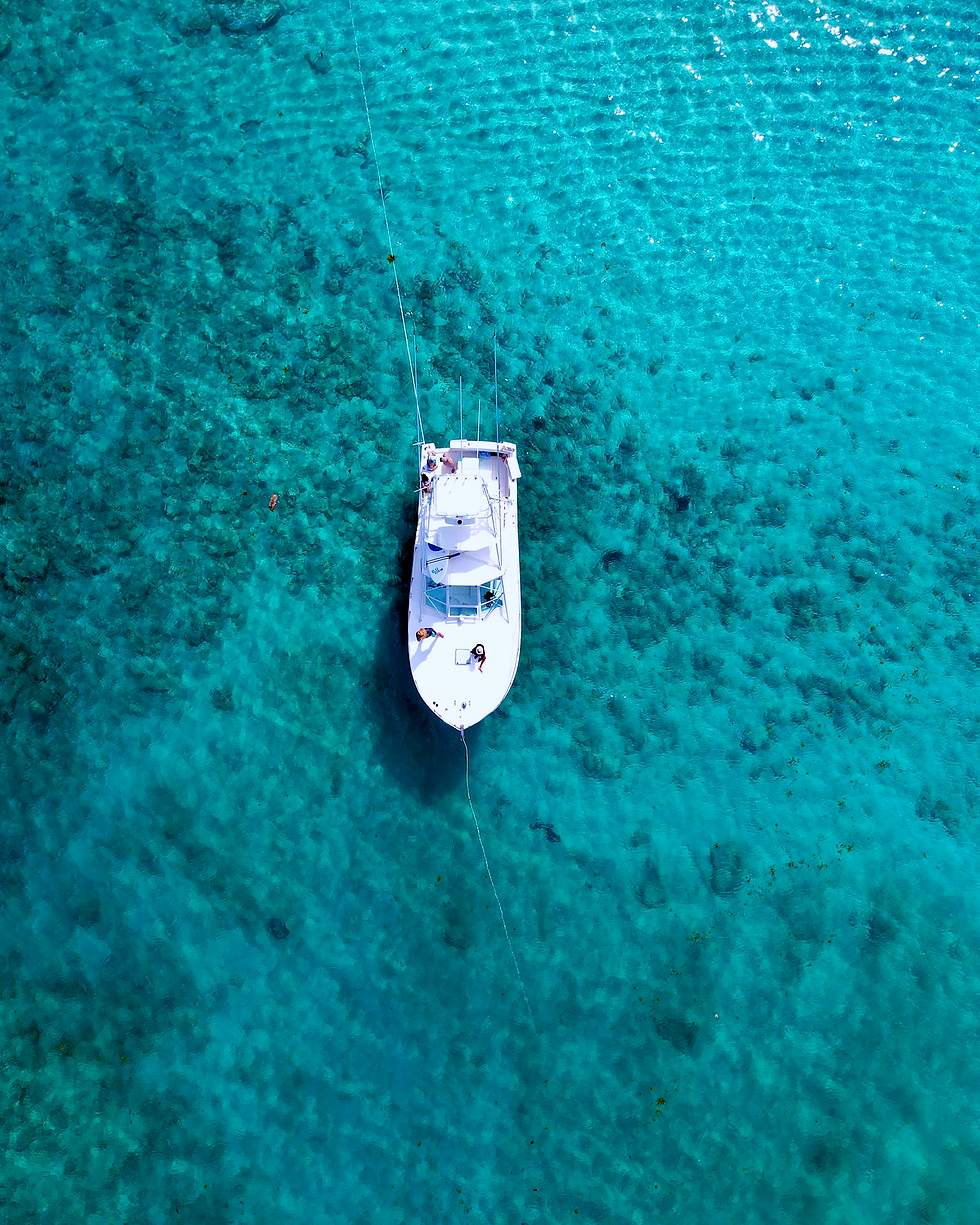 Icacos vs. Palomino: What to Expect from a Fajardo Keys Snorkeling Trip