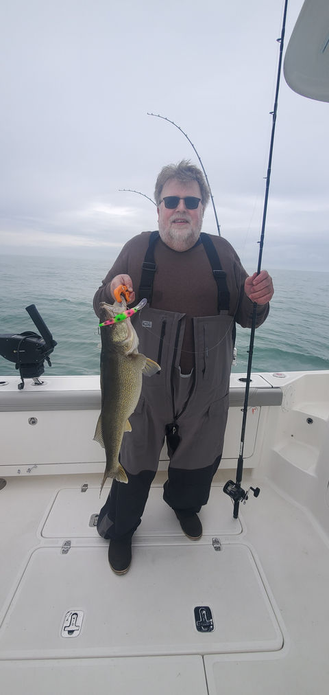 Spring Lake Erie walleye