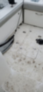 Boat deck covered in small, black bugs. Black rope coiled on the right. White and gray seating and surfaces, waves visible in the background.