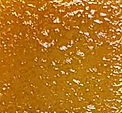 P81.jpg
