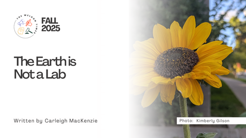 A large, bright sunflower outside the Weldon Law Building. Text reflects the title and author of the article.