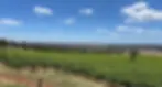 home-vineyard.webp