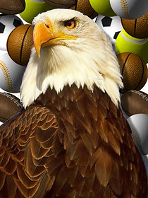 sport eagle.jpg