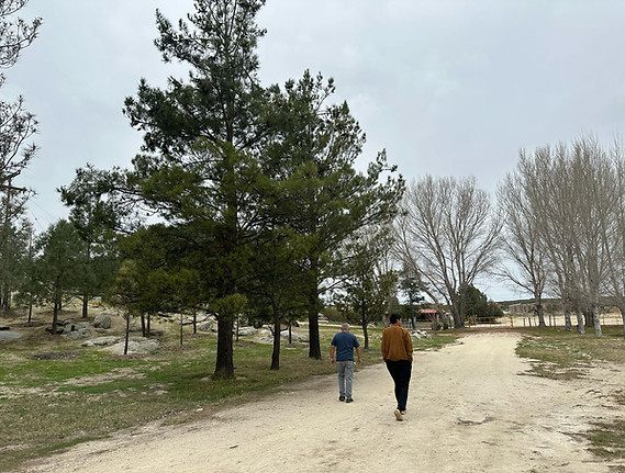 WhatsApp Image 2025-03-30 at 14.00.52_8bcd6baf.jpg