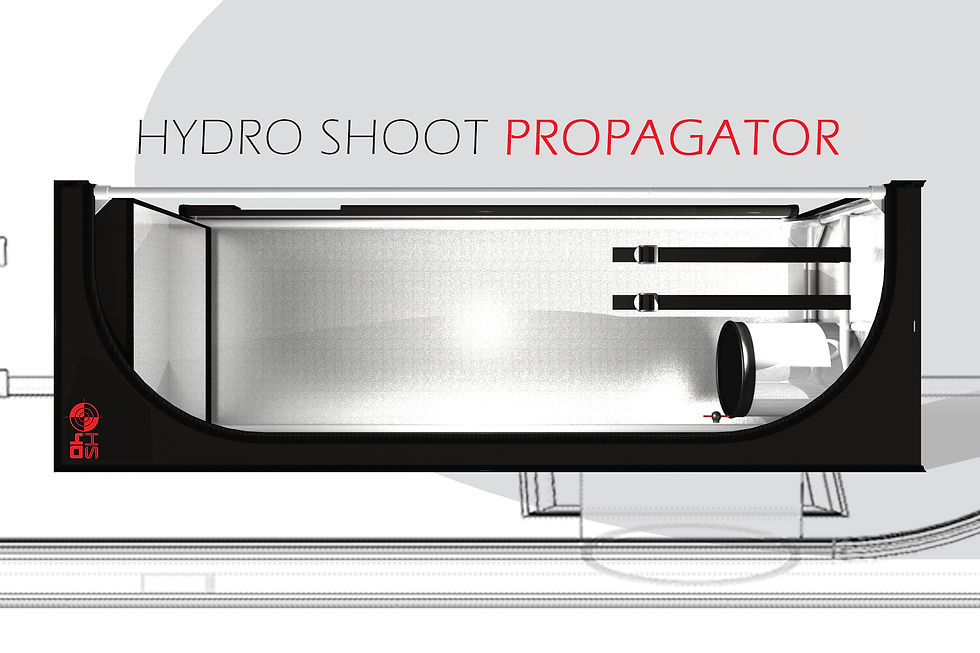 HS PROPAGATOR