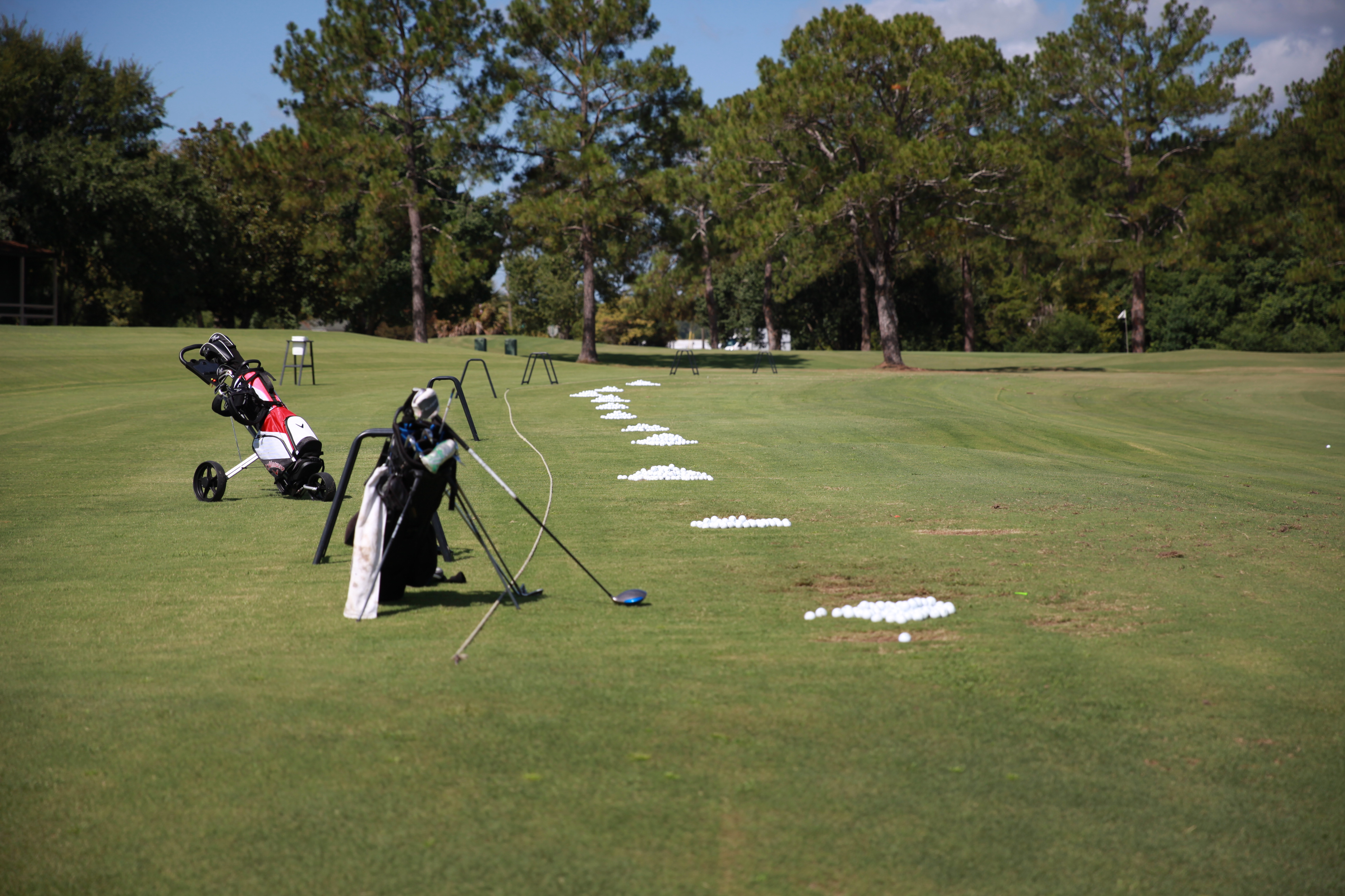 Golf springhill