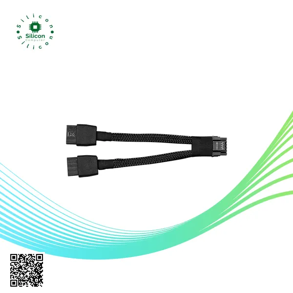 PCIe 16P to 2x8