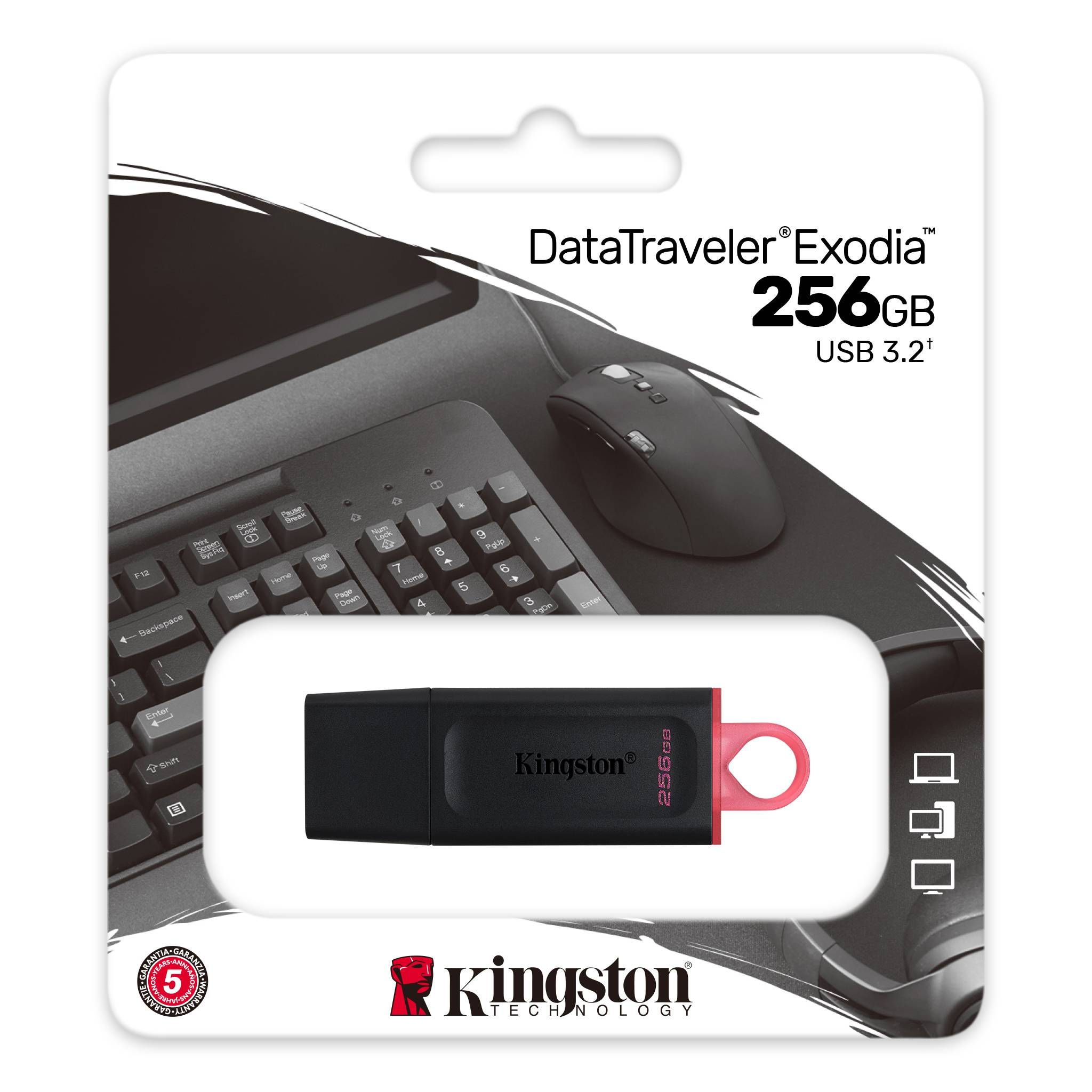 Kingston DataTraveler Exodia S DTX 256GB USB Flash