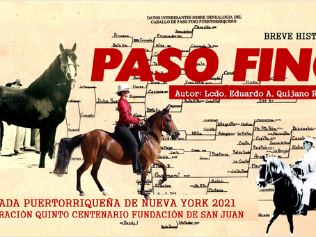 HISTORIA BREVE DEL PASO FINO