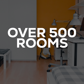 GoDaddyStudioPage-0 (6).png