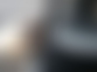 Buster, Trixie and Loki have a bath before the Vets