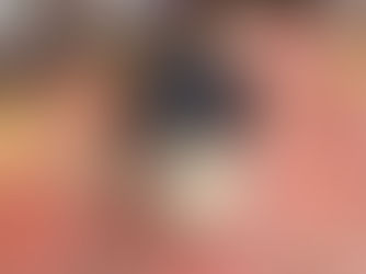 Harlie & Harry Expecting 🐾