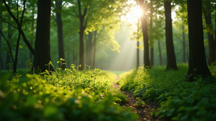 The Importance of Sustainable Living