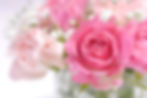 Flower 2