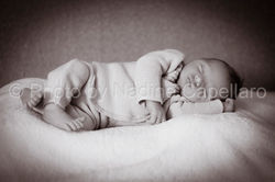 Harry_janv2016_PBN07