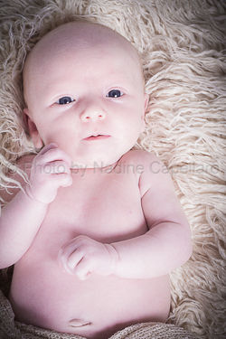 Odessa_novembre2016_PBN88