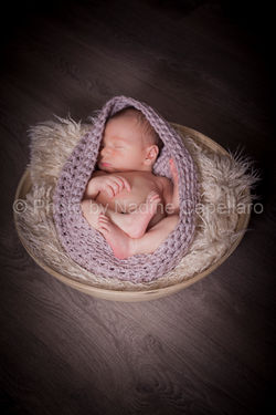 Harry_janv2016_PBN114