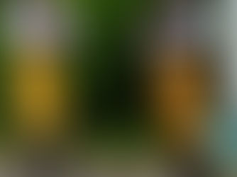 Program "Pomáháme Vysočině" -Soubor Trnávka