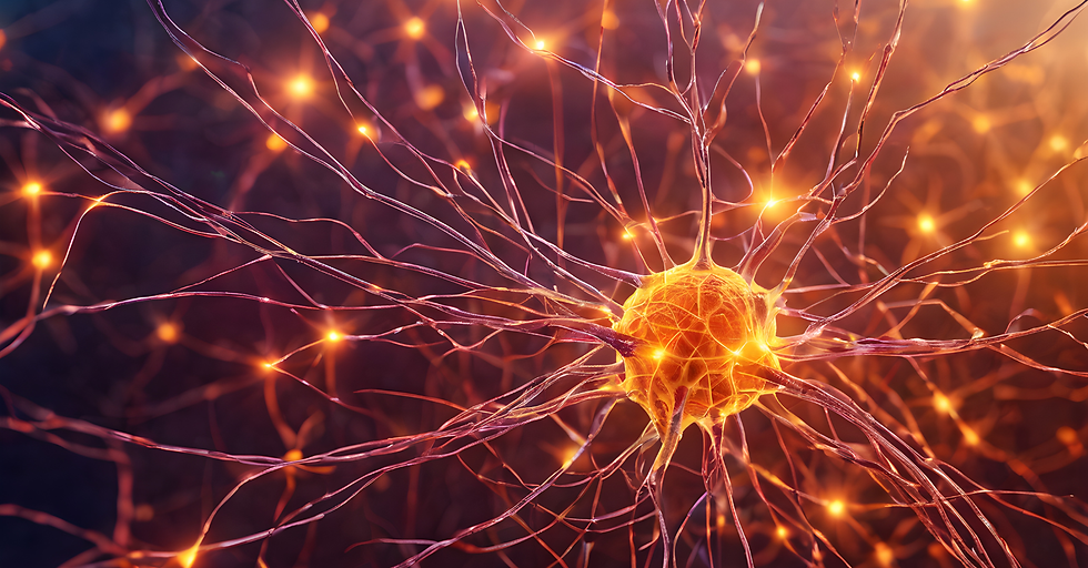 Eva Istas | Wie du Ferien-Momente als Nervensystem-Medizin nutzen kannst
