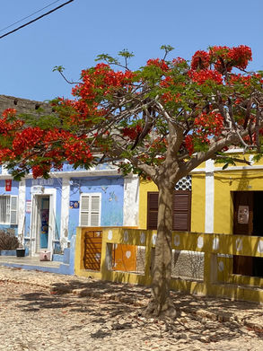 Porto Inglês - Maio Cap Vert