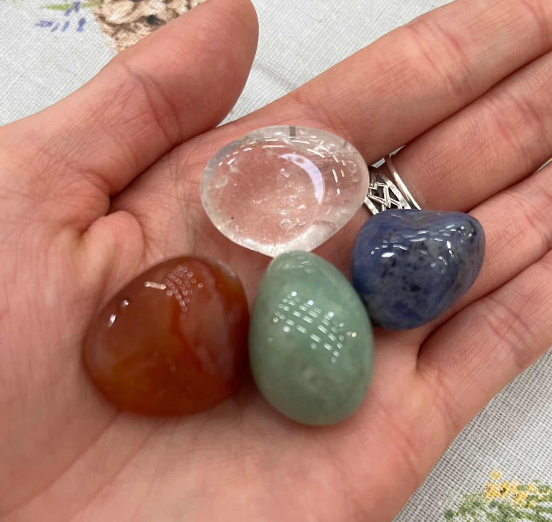 🦠 Immunity Crystal Bundle 🦠