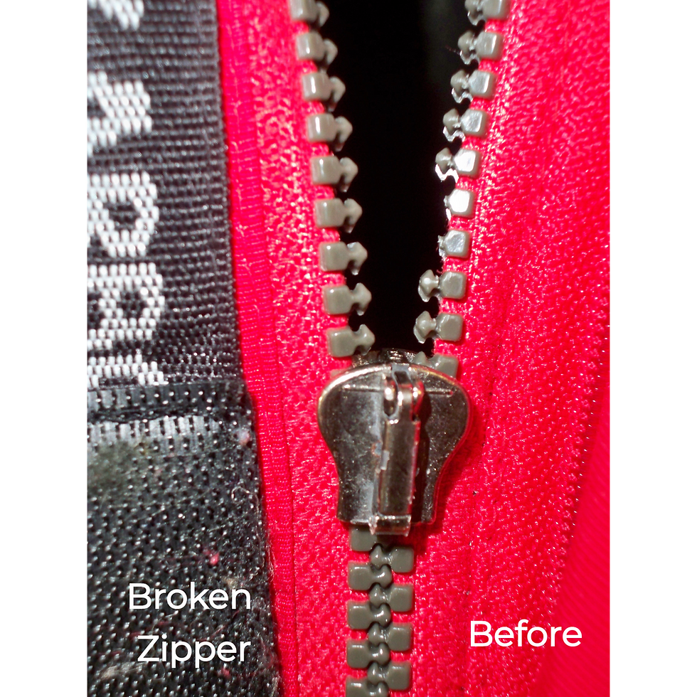 100_2333_edited_edited