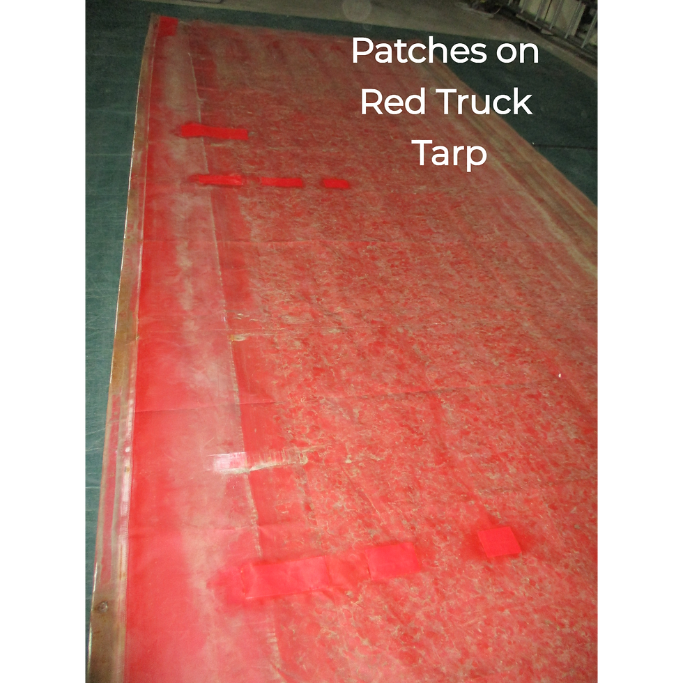 IMG_2205_edited_edited