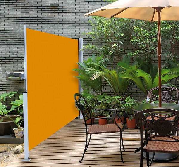 Horizontal Screen 2 .jpg