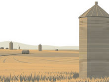 The Silo Effect